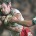 PRO12: Squad for Ospreys.