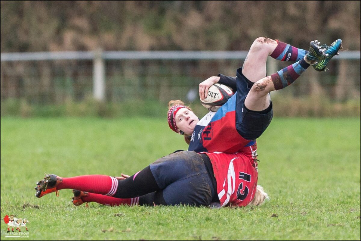 Junior Shield: Belfast Harlequins 13 Randalstown 0