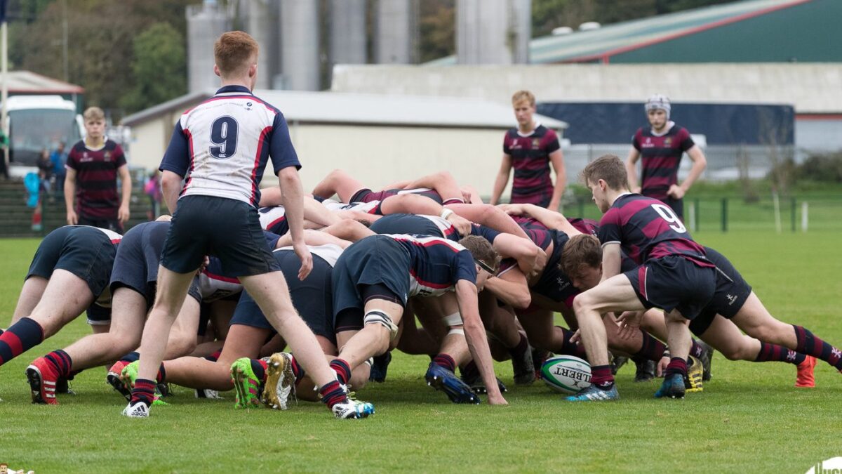 Schools: Belfast Royal Academy 7 Ballymena Academy 45