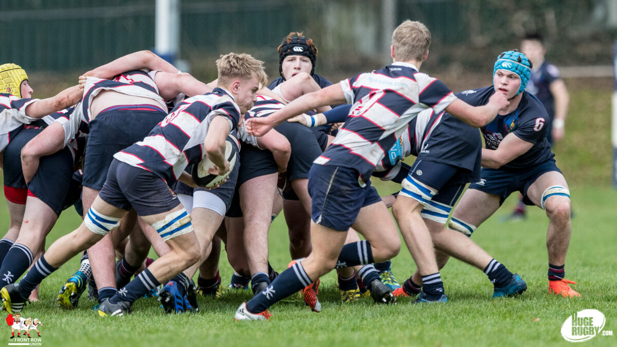 Schools: Wallace High 19 Royal School Armagh 13