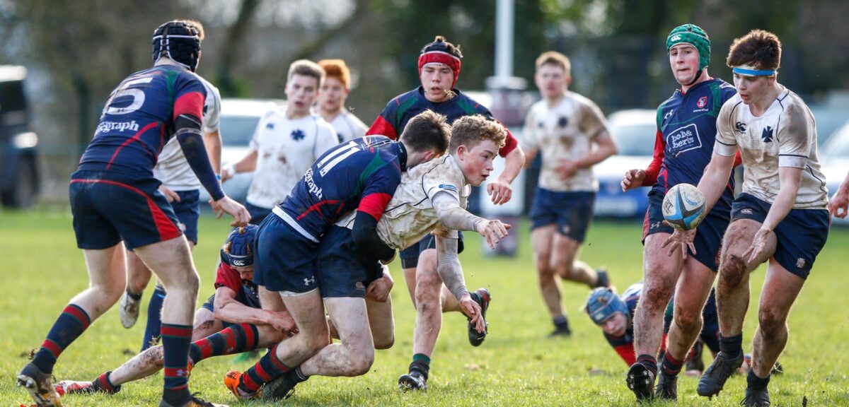 Schools Cup: Coleraine Grammar 3 Methodist College 38