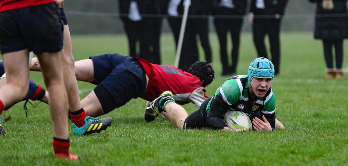 Medallion Shield: Ballyclare High 17 Sullivan Upper 24