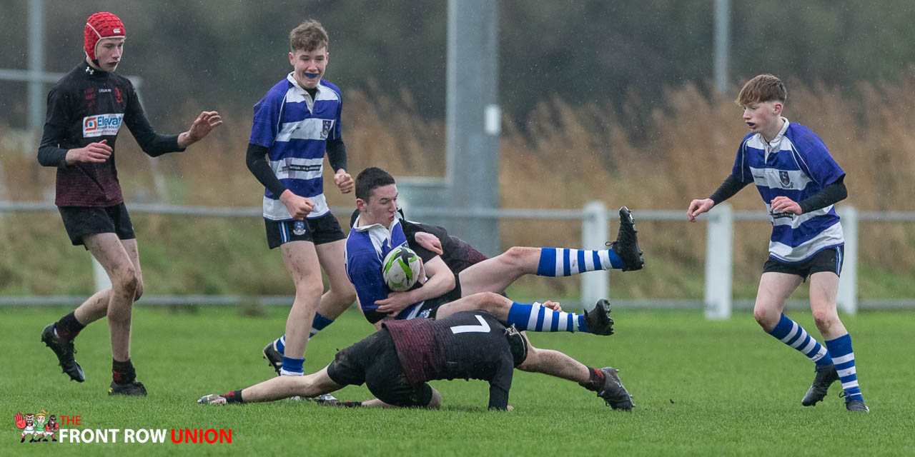 Medallion Shield: Regent House 41 Our Lady and St Pats 0