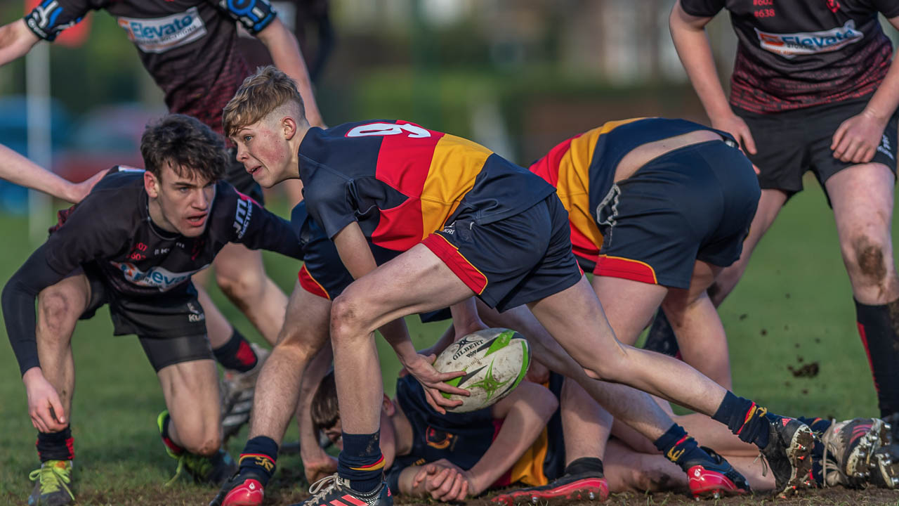 Medallion Shield: Regent House 24 Enniskillen Royal Grammar School 3