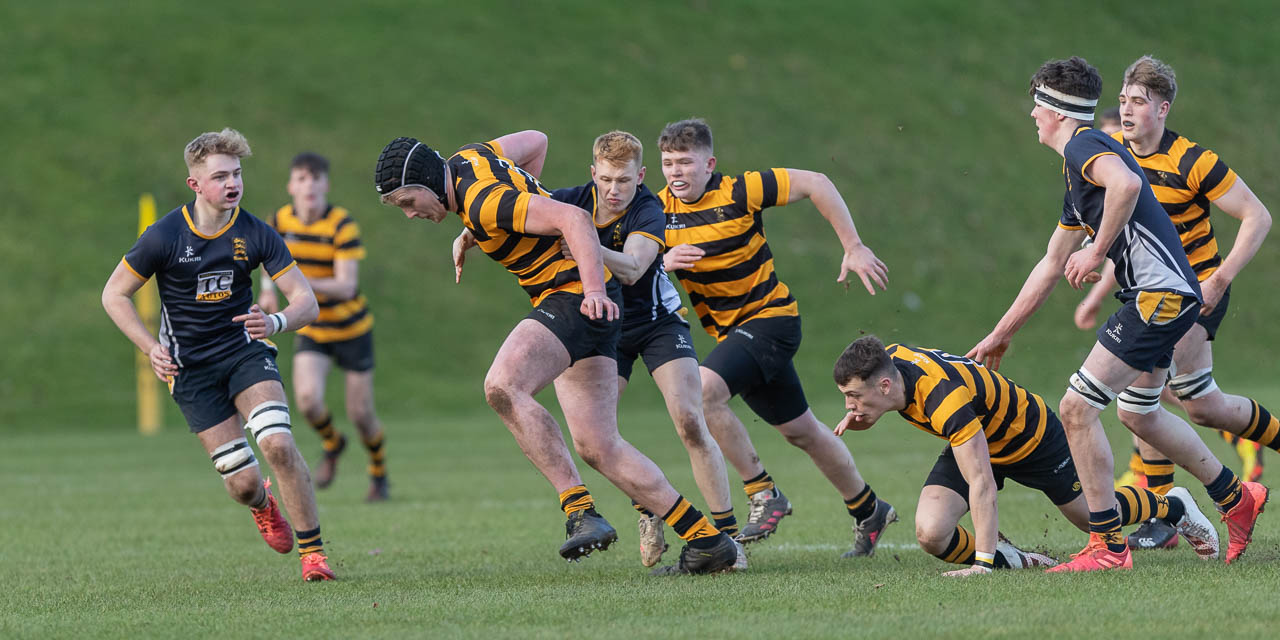 Schools Cup: Royal Belfast Academical Institution 36 Omagh Academy 15