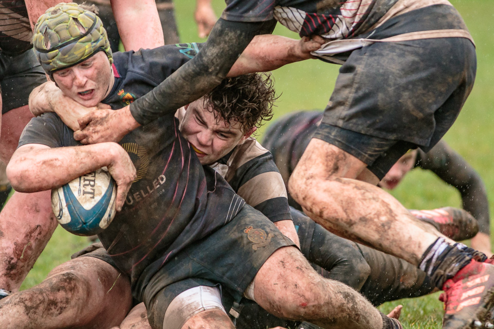 Medallion Shield: Royal School Armagh 19 Wallace High 7 Quarter Final