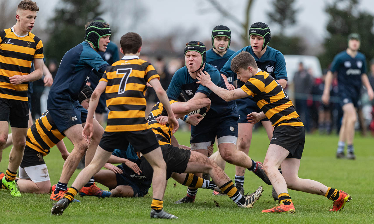 Medallion Shield: Methodist College 5 Royal Belfast Academical Institution 41