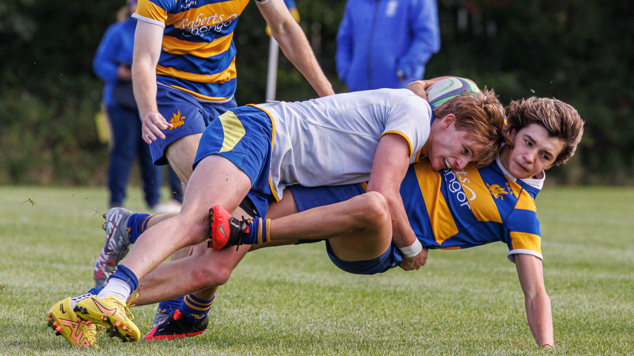 Schools Friendly: Belfast High 24 Bangor Grammar 17