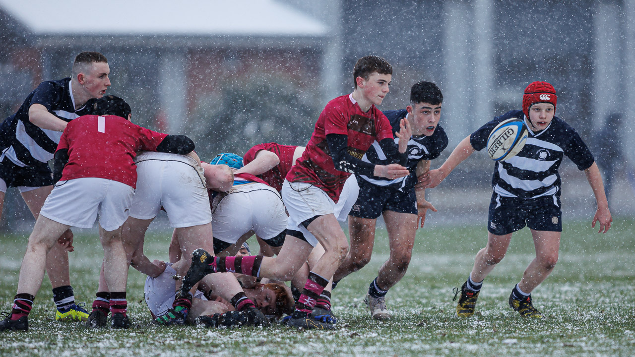 Medallion Plate: Royal School Dungannon 5 Methodist College Belfast 22 Final