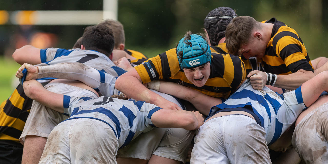 Schools Friendly: Royal Belfast Academical Institution 0 Blackrock College 27