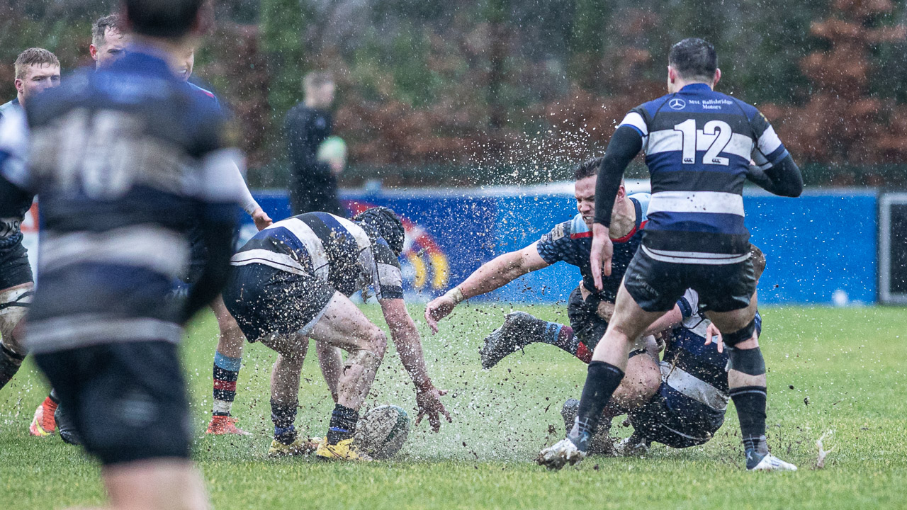 AIL 2B: Belfast Harlequins 12 Wanderers 41