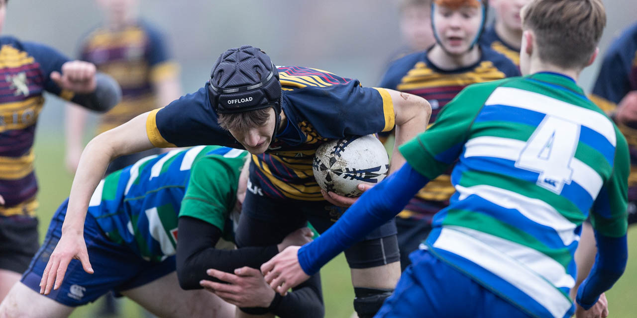 Medallion Shield: Grosvenor Grammar School 50 Bangor Academy 0