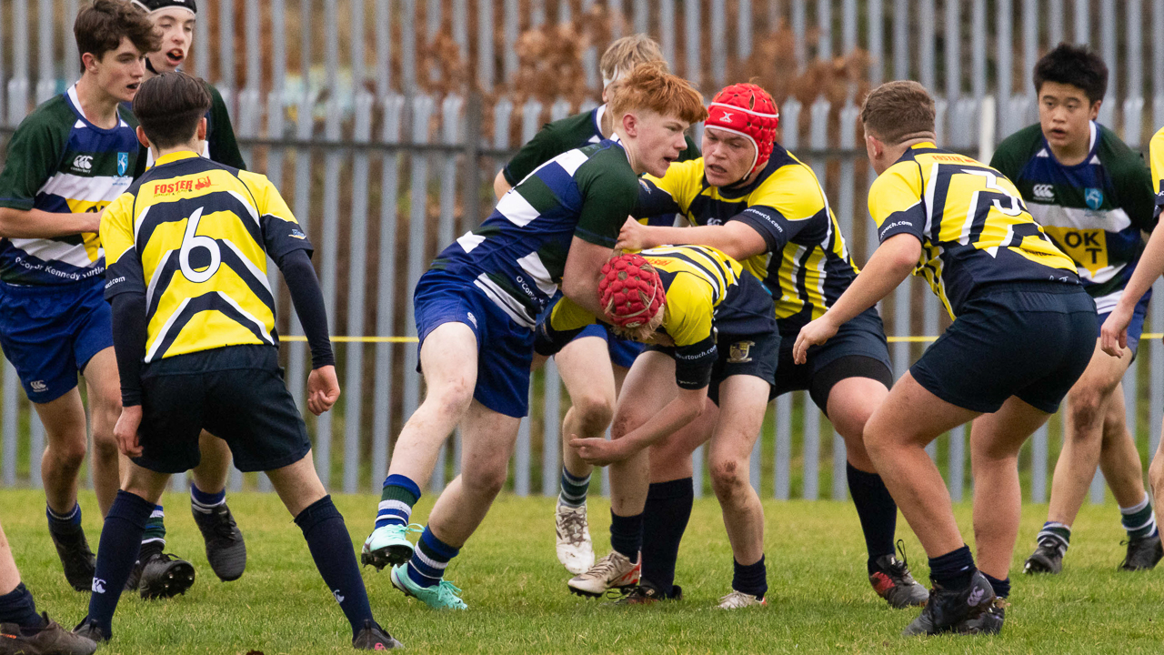 Medallion Shield: Grosvenor Grammar 5 Antrim Grammar 10