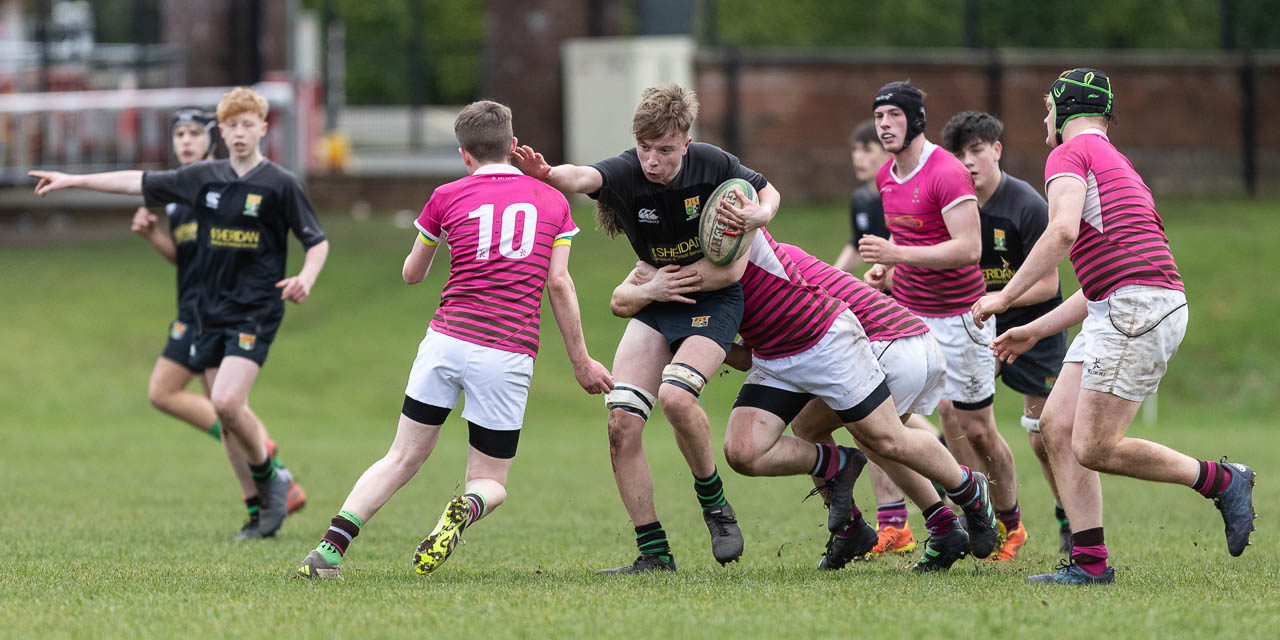 Schools 2XV Cup: Sullivan Upper School II 33 Royal School Dungannon II 19