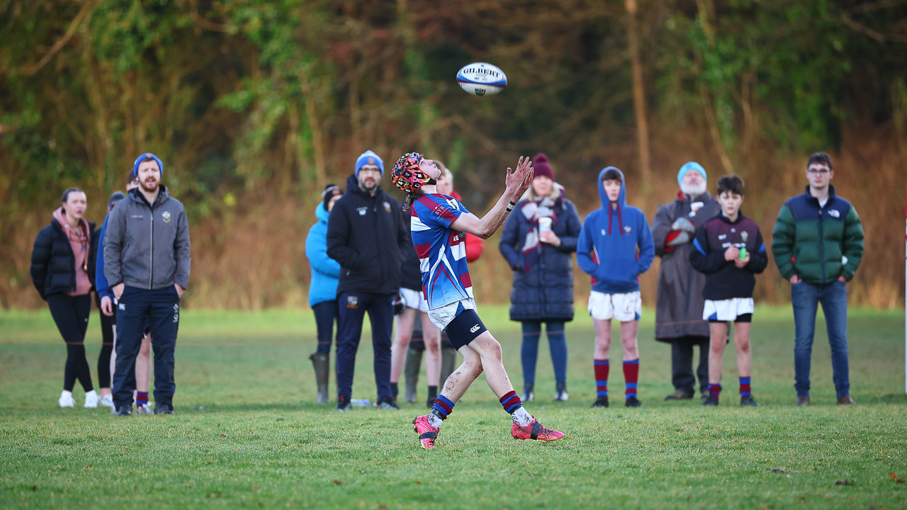 Medallion Shield: Dalriada School 33 Rainey Endowed School 13