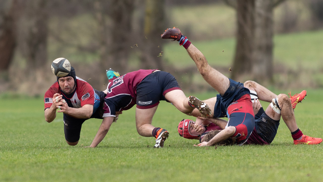 Forster Cup: Academy II 31 Belfast Harlequins III 12