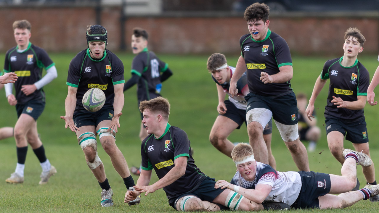 Schools Cup: Sullivan Upper 41 Larne Grammar 3