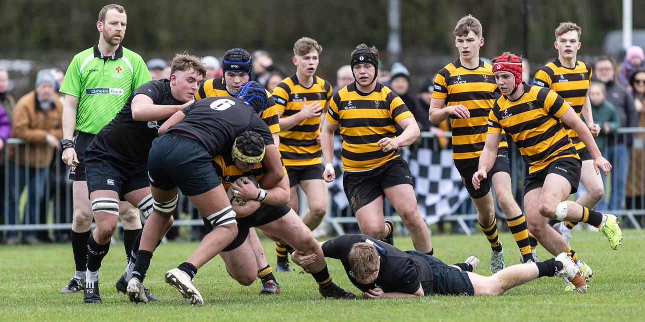 Schools Cup: Royal Belfast Academical Institution 16 Campbell College 6