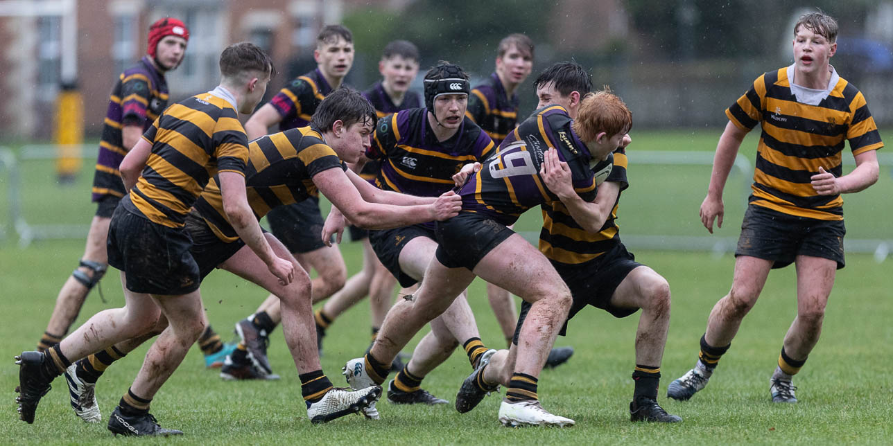 3rd XV Cup: Royal Belfast Academical Institution IV 5 Royal Belfast Academical Institution III 17 Quarter Final